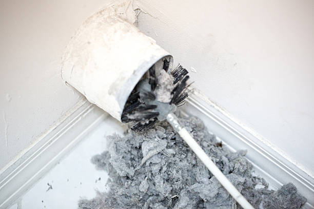 Best Professional Duct Cleaning Services  in Mosheim, TN