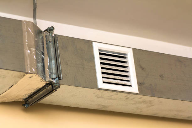 Best Local Air Duct Cleaning Services  in Mosheim, TN